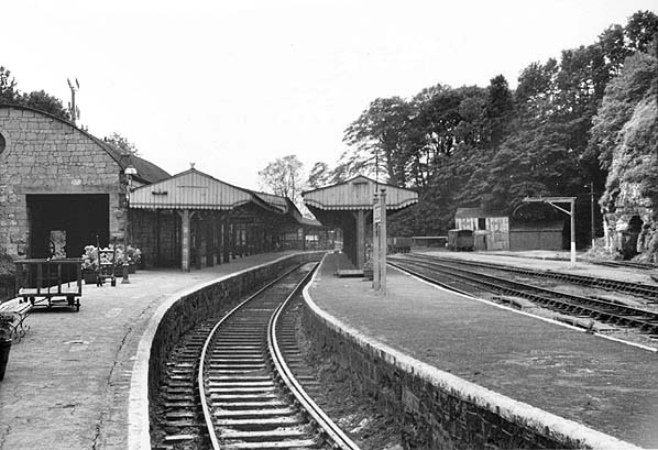 Image for caption